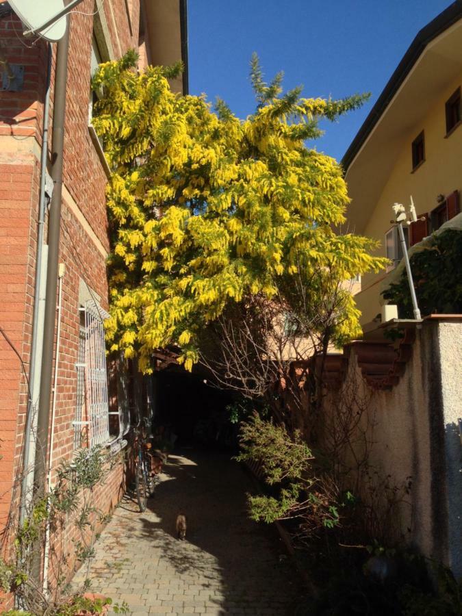 Appartamento Casa Mimosa Viareggio Esterno foto